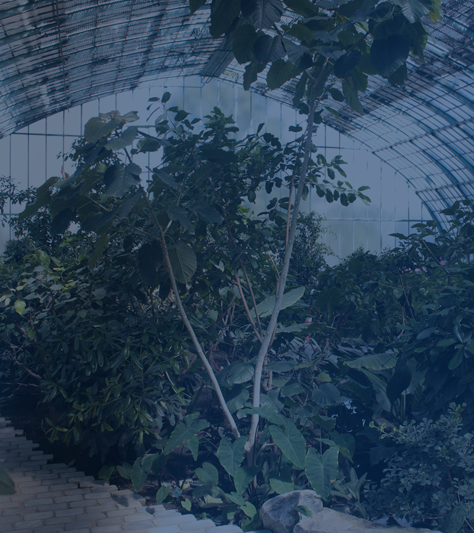 les serres d'auteuil