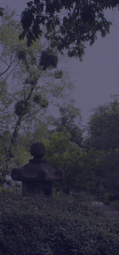 jardin à la japonaise