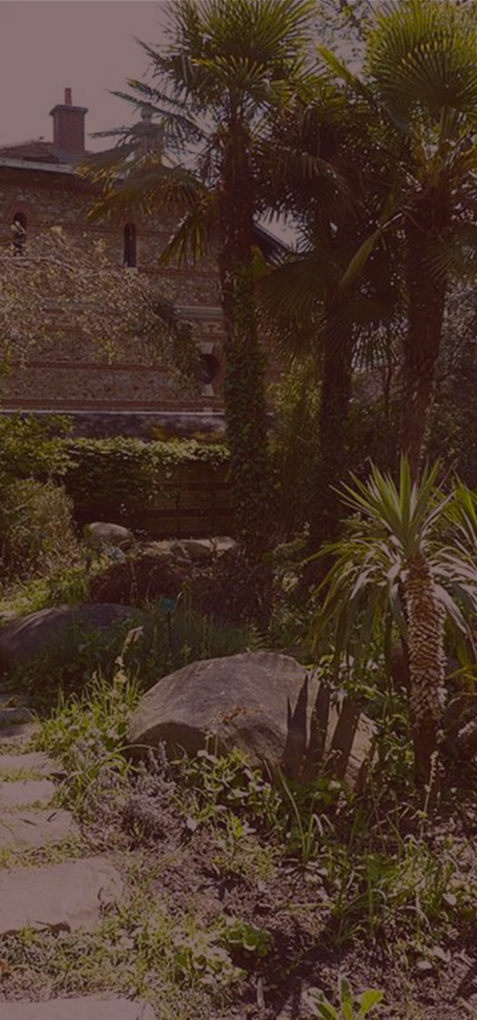 jardin méditerranéen